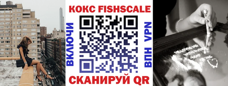 где можно купить наркотик  hydra ссылка  Cocaine FishScale  Жиздра 