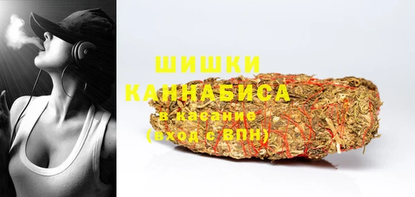 молекула духа Белоозёрский