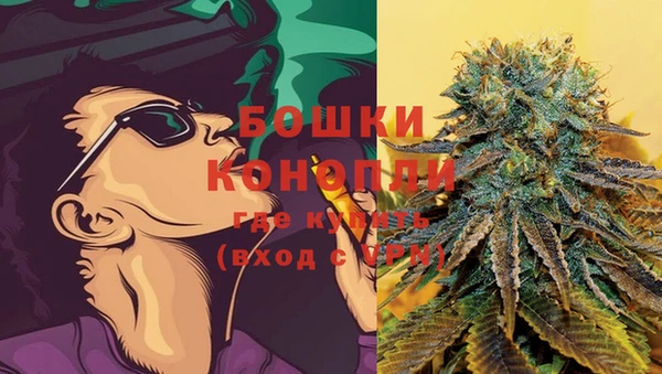 не бодяженный Белокуриха