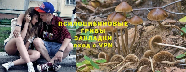 молекула духа Белоозёрский