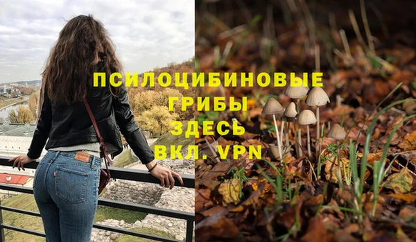 не бодяженный Белокуриха